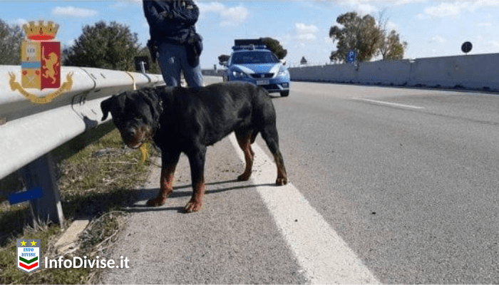 polizia di Stato