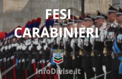 FESI Carabinieri Decreto del Ministro della Difesa per l