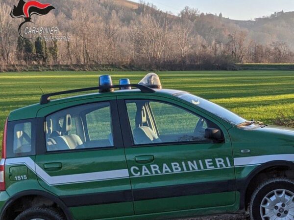 Carabinieri forestali indagati