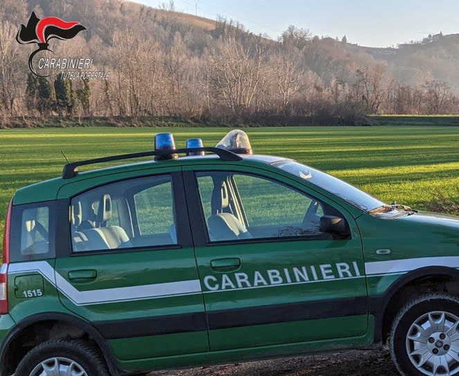 Carabinieri forestali indagati