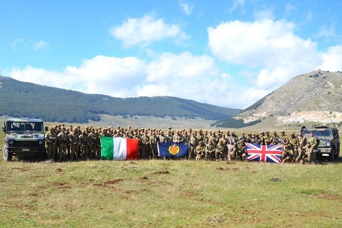 Alpini 9° Reggimento